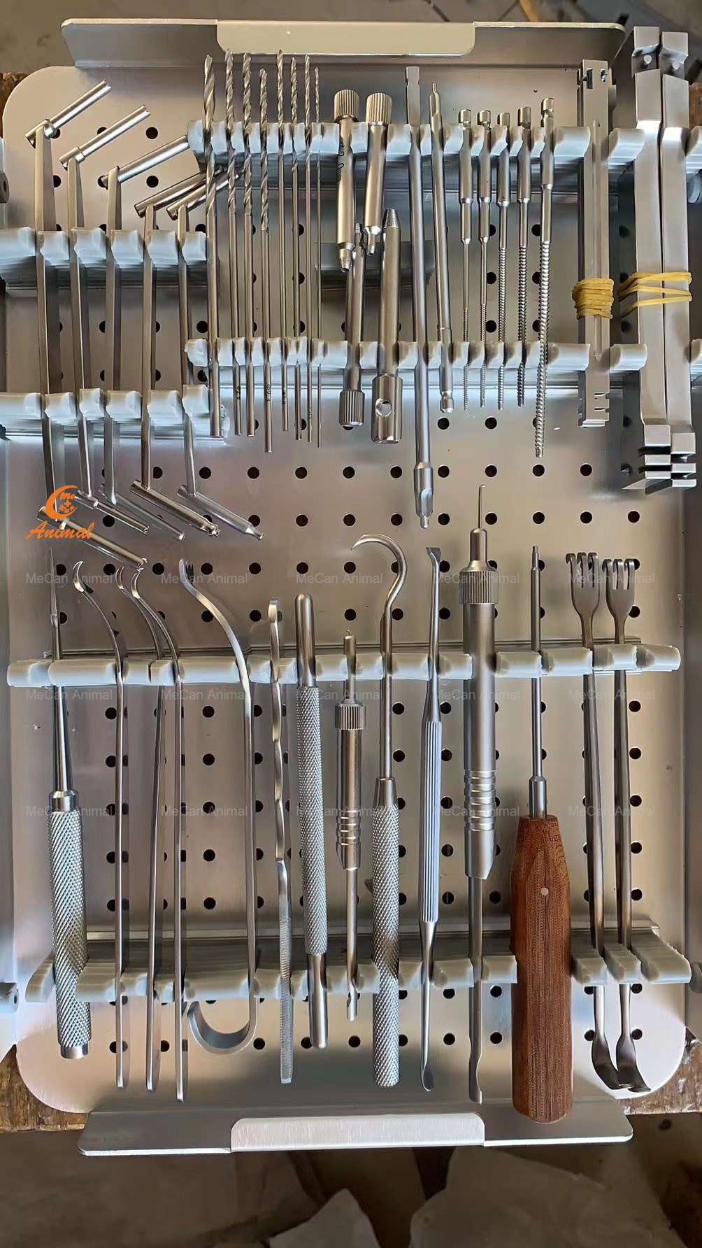 surgical instruments - basic surgical set for veterinary surgeries