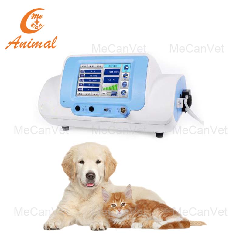 dog running machine mecan vet