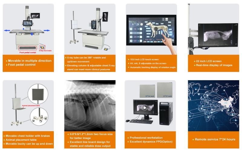 feature of Dynamic Digital Radiography for Veterinary