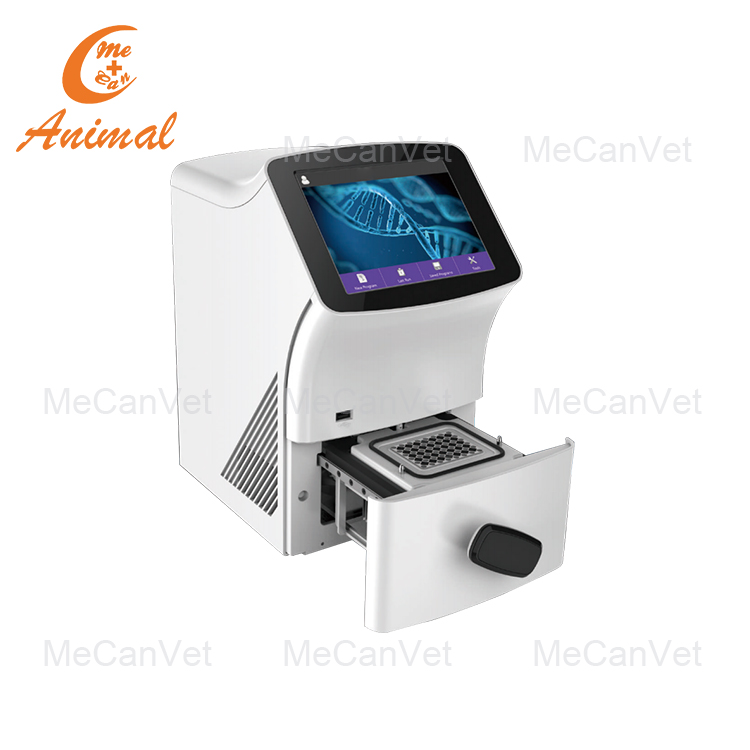 Real Time qPCR System Supplier