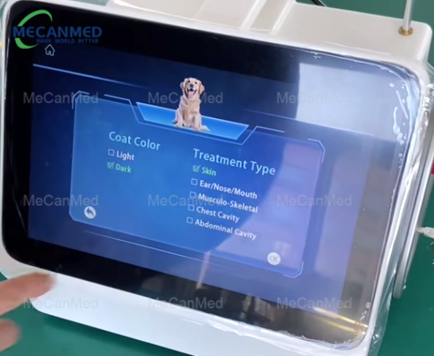 Treatment type selection interface of pet laser therapy device