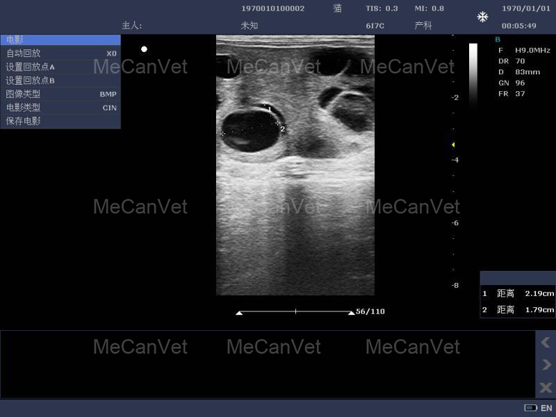 Imaging Of Ultrasonic Diagnostic Scanner1