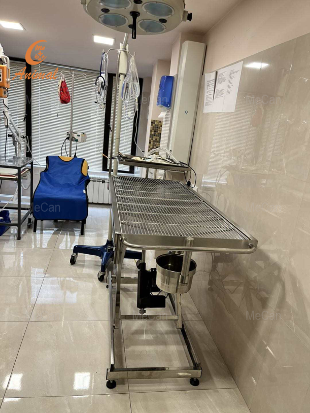 raal picture about operating table,beauty table,Pet grooming,