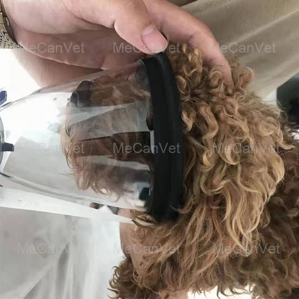 Oxygen Masks for Pet Care