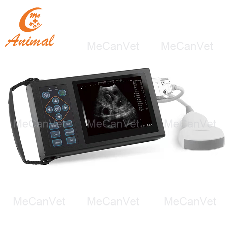 Veterinary Full Digital Ultrasound