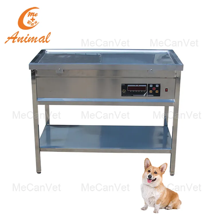 Dynamic Digital Radiography for Veterinary