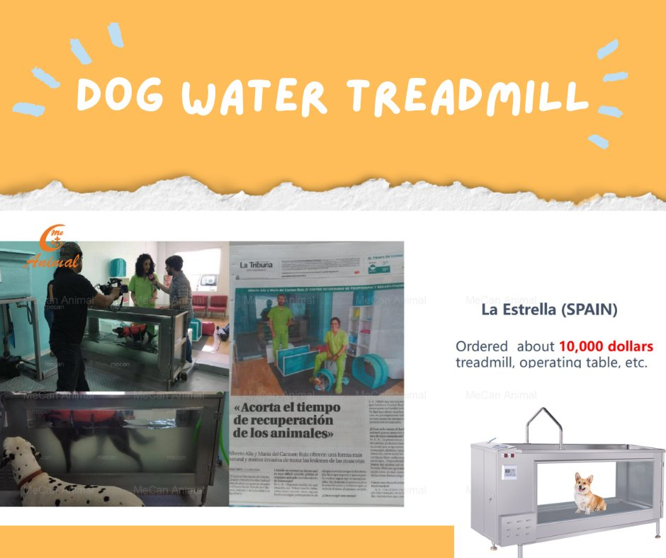 dog treadmill picture from customer