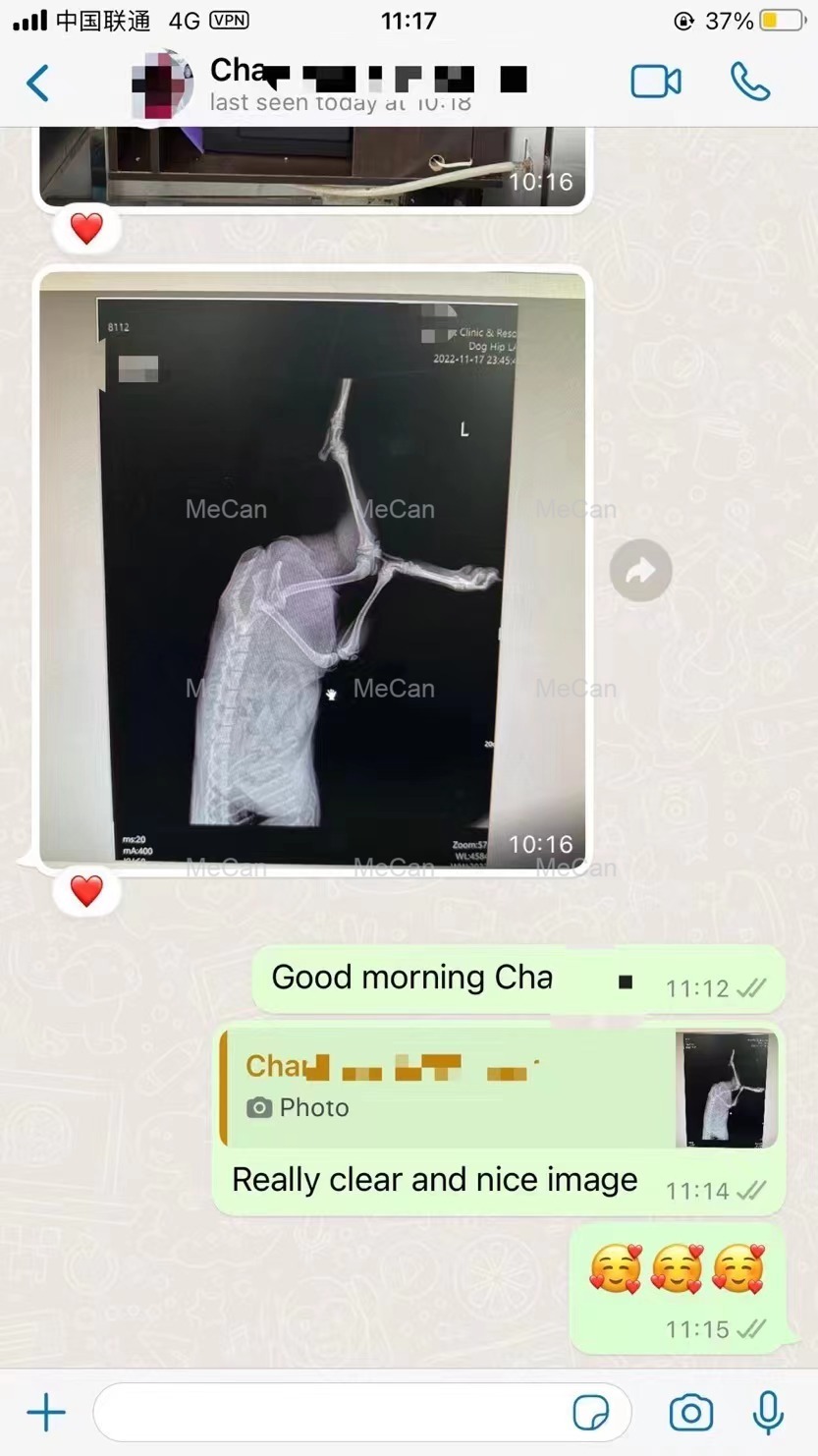 veterinary x ray feedback about customer with sale