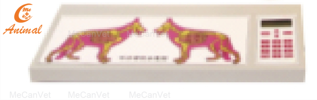 The MeCanVet canine CPR manikin intuitive control panel.