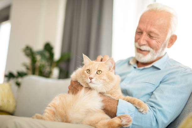 ensure that our furry companions enjoy a higher quality of life in their later years