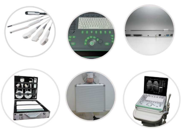 Features of Laptop Veterinary Ultrasound Scanner, probe