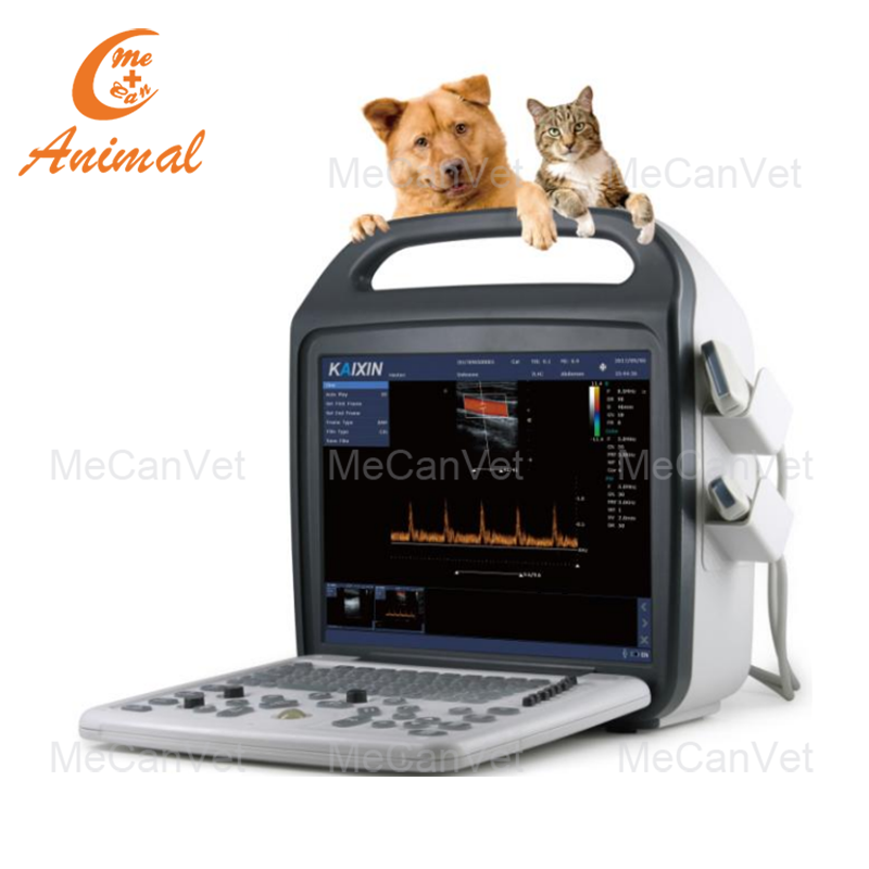 Veterinary Color Doppler Ultrasound