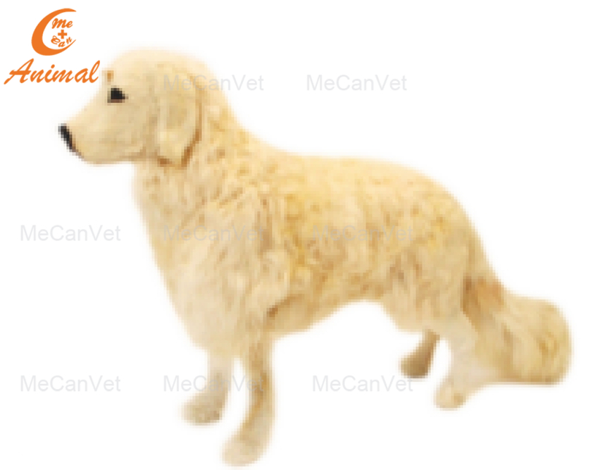 Lifelike canine torso design of the canine CPR manikin.
