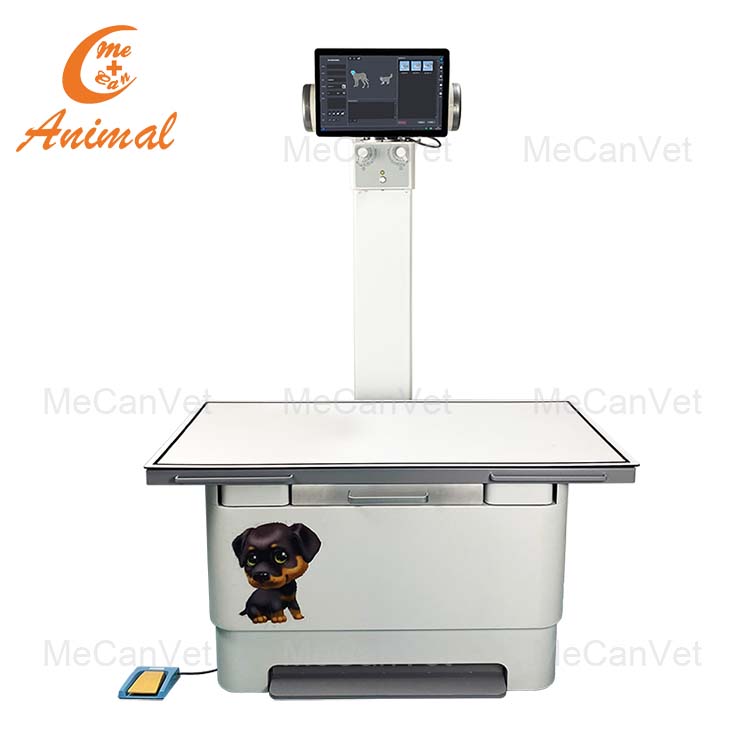 veterinary digital x ray equipment for sale in China