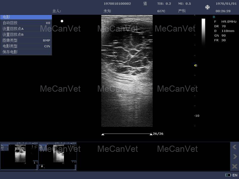 Imaging Of Ultrasonic Diagnostic Scanner4