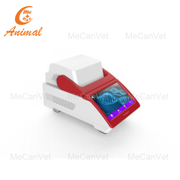 Mini Real Time qPCR System