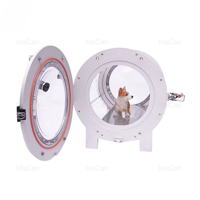 hyperbaric chamber use for dog