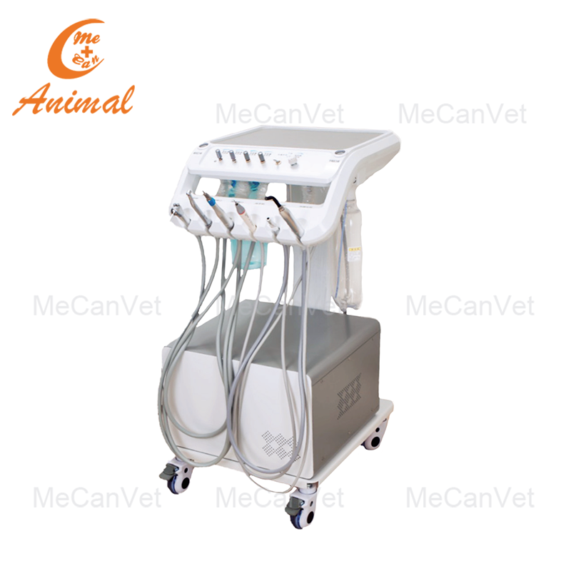 Flexible Veterinary Dental Suite Equipment
