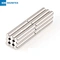 neodymium magnet