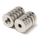 Rare Earth Magnet