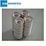 ring magnets