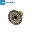 embeded magnet
