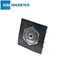 embeded magnet