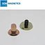 Permanent Magnetic Ferrule Insert Locator