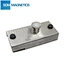 embeded magnet