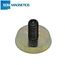embeded magnet