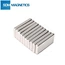 AlNiCo Magnet