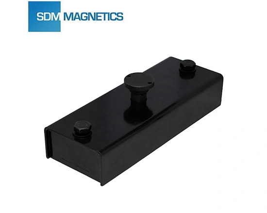 embeded magnet