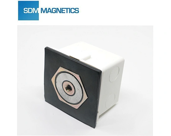Permanent Magnetic Ferrule Insert Locator