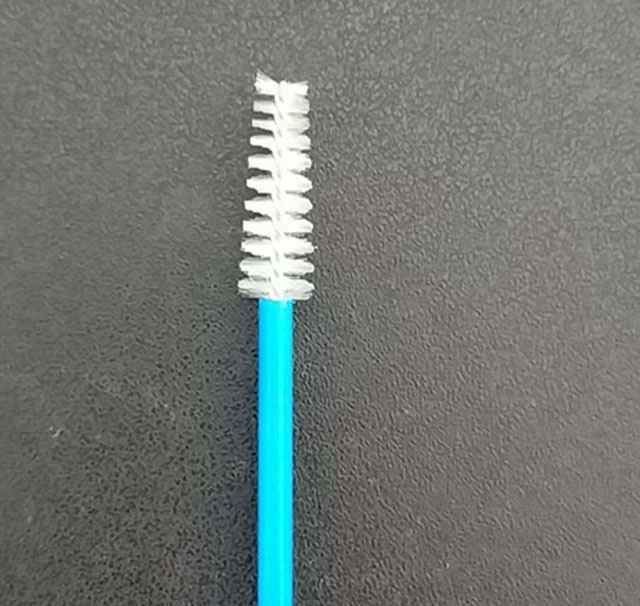 cervical brush