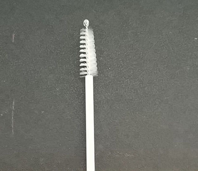 cervical brush