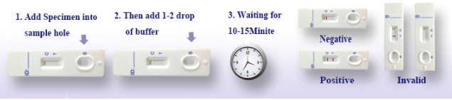 hepatitis c