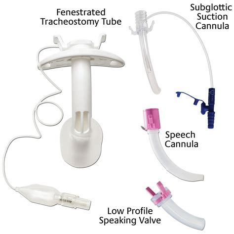 tracheostomy tube