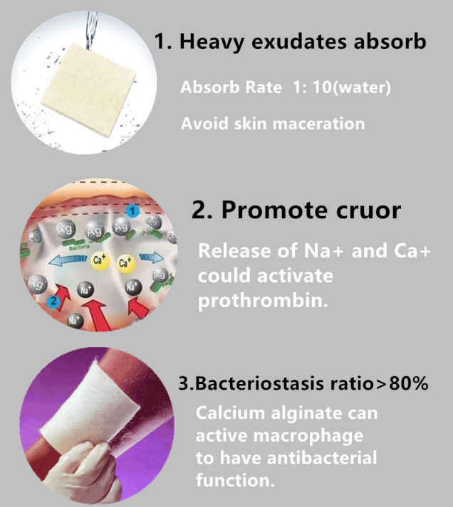 wound dressing.png