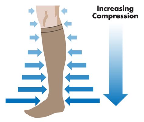 knee high sock.jpg