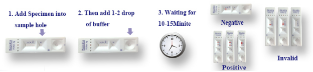 diagnostic malaria rapid test kit