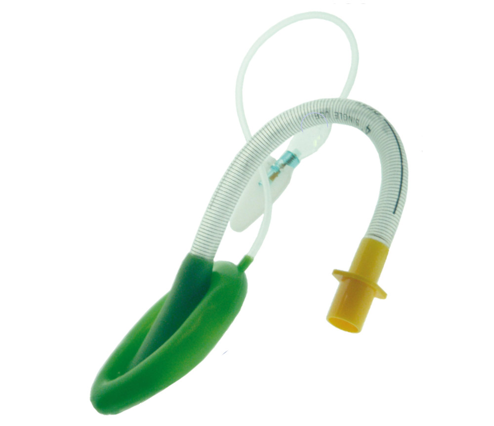laryngeal