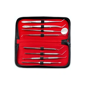 DC49 Paraffin carving kit