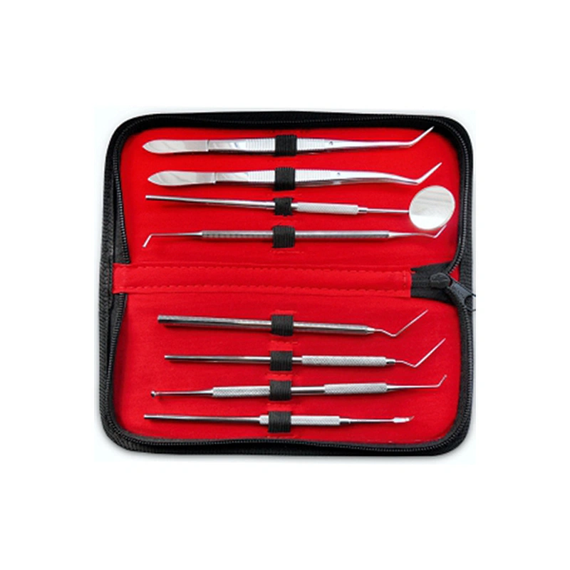 DC49 Paraffin carving kit