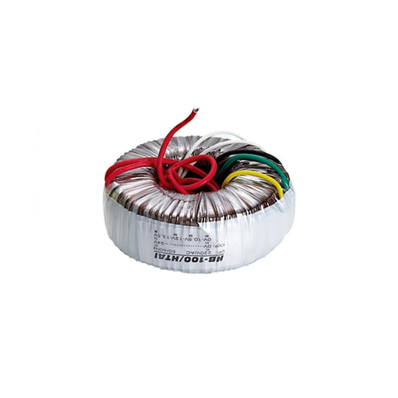 RV100 TRansformer