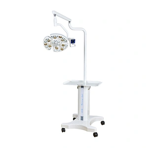 L18 Mobile examination light