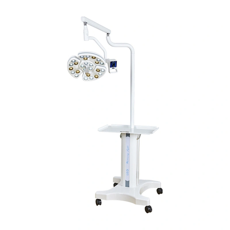 L18 Mobile examination light