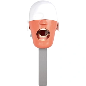 RG03 Dental simulator