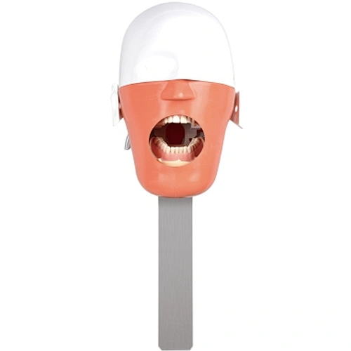 RG03 Dental simulator