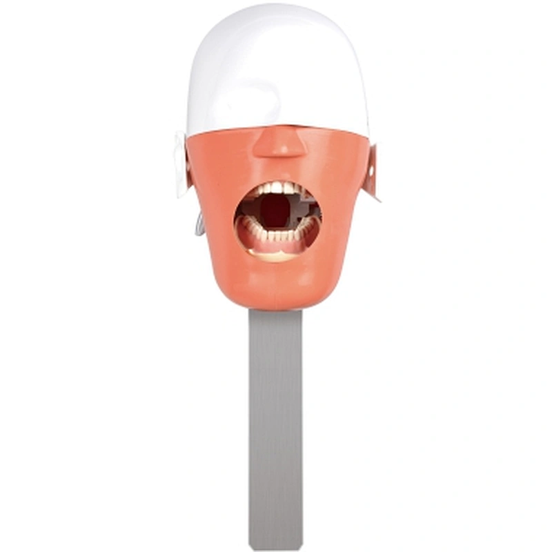 RG03 Dental simulator
