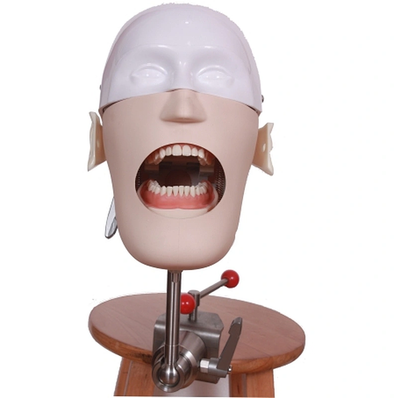 RG04 Dental simulater